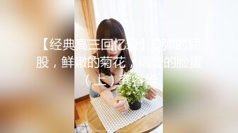 清纯小淑女新人妹子露脸和男友啪啪做爱，固定视角全程露脸，玩穴舔奶子