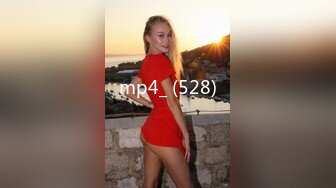 mp4_ (528)