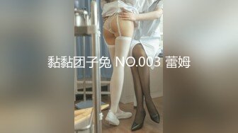 黏黏团子兔 NO.003 蕾姆