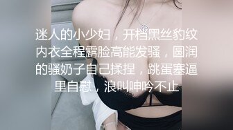 迷人的小少妇，开档黑丝豹纹内衣全程露脸高能发骚，圆润的骚奶子自己揉捏，跳蛋塞逼里自慰，浪叫呻吟不止