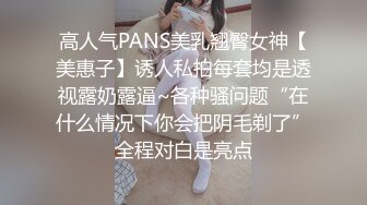 高人气PANS美乳翘臀女神【美惠子】诱人私拍每套均是透视露奶露逼~各种骚问题“在什么情况下你会把阴毛剃了”全程对白是亮点