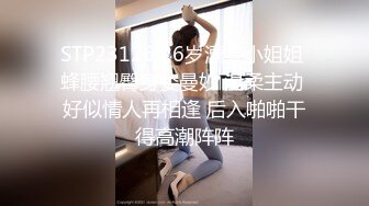 STP23126 26岁漂亮小姐姐 蜂腰翘臀身姿曼妙 温柔主动 好似情人再相逢 后入啪啪干得高潮阵阵