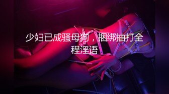 少妇已成骚母狗，捆绑抽打全程淫语