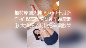 推特原创大神 Picgirl十月新作-约操高颜值女神车震玩刺激 太疯狂了啊快把车震散架了