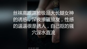 拳脚小母狗，叫声很动人