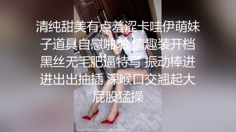 关秀媚《强奸终极篇之最后羔羊》精华片段clip_by_海盗路飞