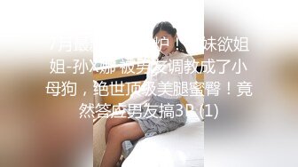 女忍1：破碎的公主,[中文字幕],Studio,Flow,-