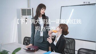 HEYZO 2336 超元気な小柄アジア系美少女にガッツリ中出し – ハーモニー