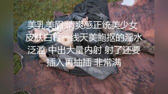 【AV佳丽】成人游戏最终以与巨乳黑发的热辣性爱告终