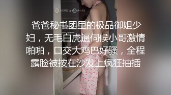 麻豆傳媒 MCY-0018小偷入戶把少婦操高潮-夏晴子