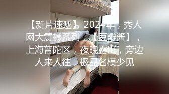 新爱妻娃娃4 ～与陌生的中年男人共同生活的一夜两天～ 桂木春香