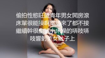 户外犬调完整版女主狙小久