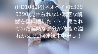 (中文字幕)SODロマンス 痴漢通勤電車～ED夫の妻は、インモラルな行為に欲情する～ 加藤あやの