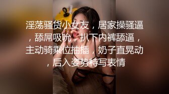 人妖 ·三亚Ts李多喜 · 艹媳妇CD-鹤儿-，战斗力猛烈，撸射！