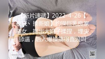 麻豆传媒-性之禁脔 渴望强制支配性爱快感 美乳女神袁采菱