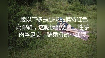 商场女厕蹲守珠宝店的黑丝高跟美女3肥美的黑鲍鱼 (6)