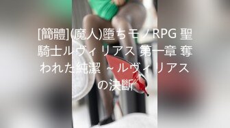 [簡體](魔人)墮ちモノRPG 聖騎士ルヴィリアス 第一章 奪われた純潔 ～ルヴィリアスの決斷