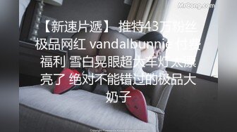 大像传媒之火辣女同事的性感誘惑-李娜娜