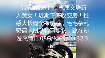 毒药杭州17公分雁型JJ第二季第二部