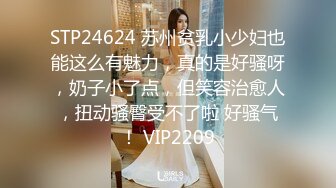 【国产版】[LY-024]屋内有人肉欲蒙生 采花贼进屋揩油 顶级黑丝美少女也产生肉欲感