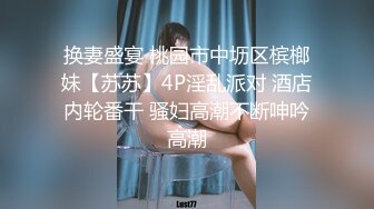 高清无水印珍藏版 高铁女神乘务员和靓丽的女乘客 (3)