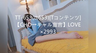 TT-653(tt653)[Tコンテンツ]【CHO→ギャル宣言】LOVE×2993