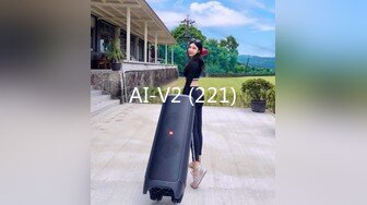 AI-V2 (221)