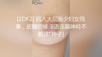 [2DF2] 后入大屁股少妇女同事，皮鞭伺候淫语连篇呻吟不断[BT种子]