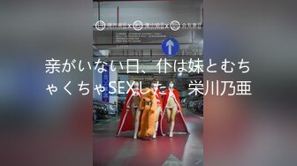 亲がいない日、仆は妹とむちゃくちゃSEXした。 栄川乃亜