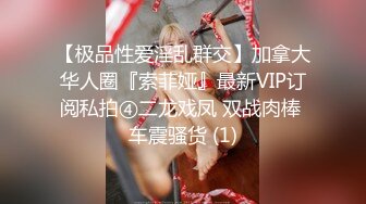 【极品性爱淫乱群交】加拿大华人圈『索菲娅』最新VIP订阅私拍④二龙戏凤 双战肉棒 车震骚货 (1)