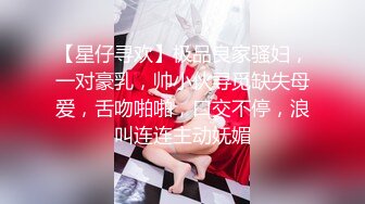 【星仔寻欢】极品良家骚妇，一对豪乳，帅小伙寻觅缺失母爱，舌吻啪啪，口交不停，浪叫连连主动妩媚