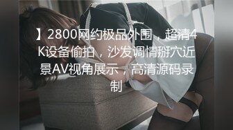 】2800网约极品外围，超清4K设备偷拍，沙发调情掰穴近景AV视角展示，高清源码录制