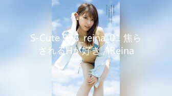 S-Cute 976_reina_01 焦らされるHが好き／Reina