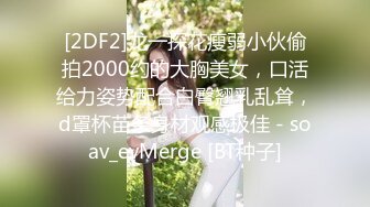 [2DF2]龙一探花瘦弱小伙偷拍2000约的大胸美女，口活给力姿势配合白臀翘乳乱耸，d罩杯苗条身材观感极佳 - soav_evMerge [BT种子]